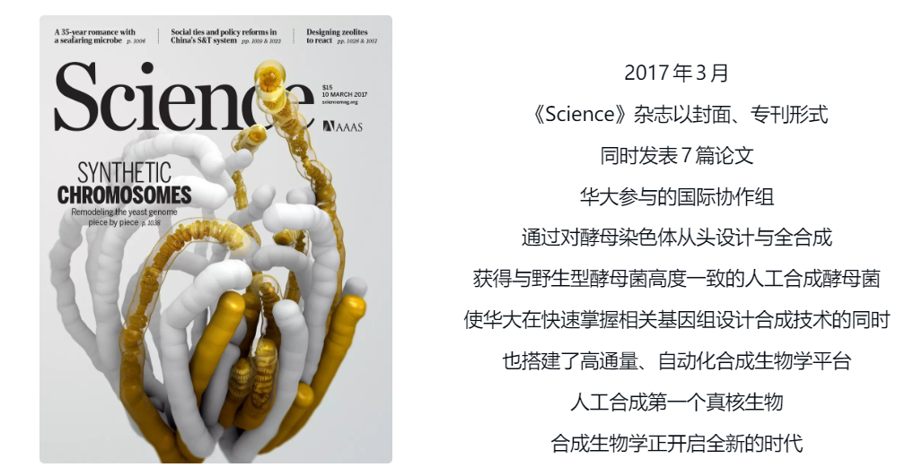 2017年《Science》人工合成酵母染色体